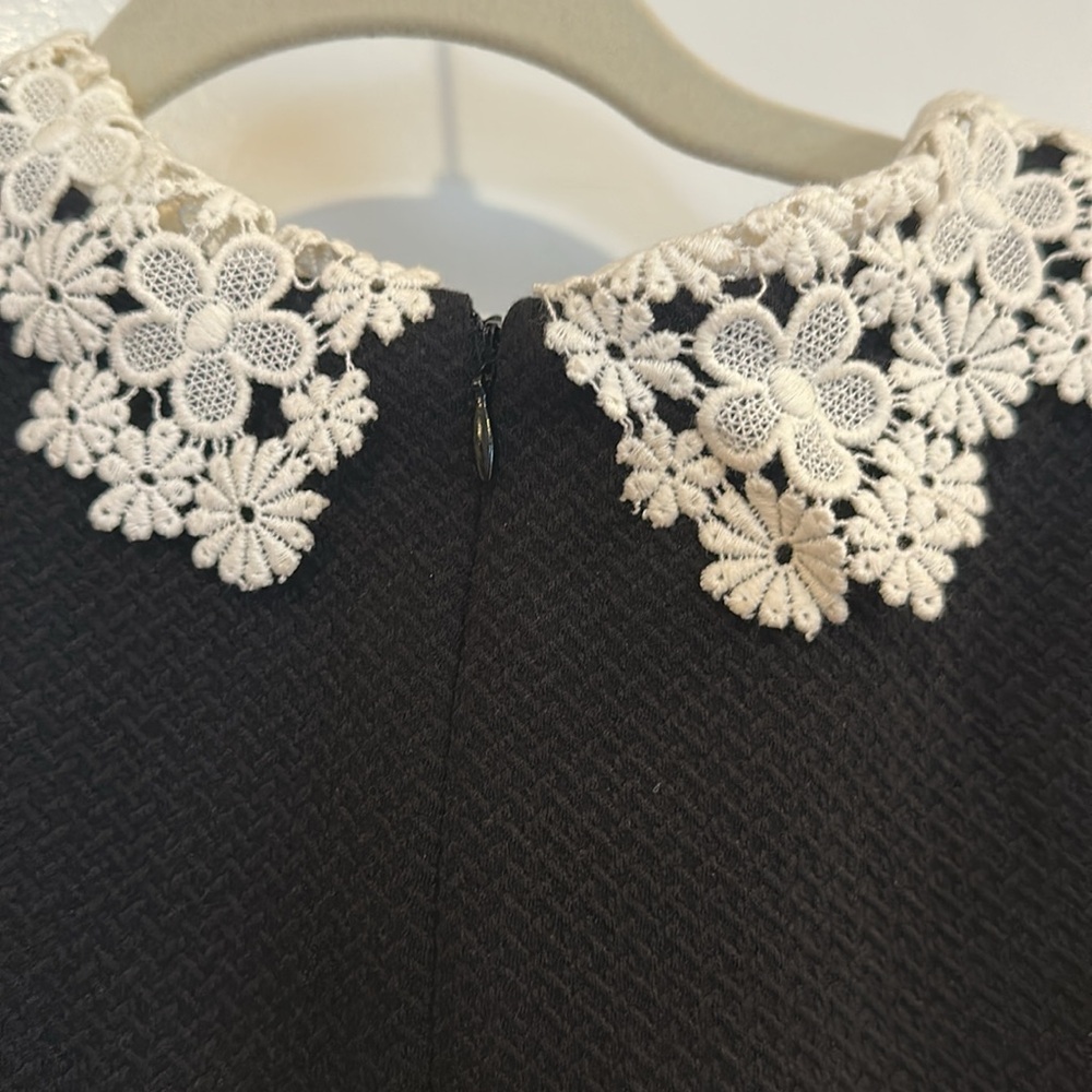 Betsey Johnson Fitted Lace Collar Dress - Picture 4 of 8
